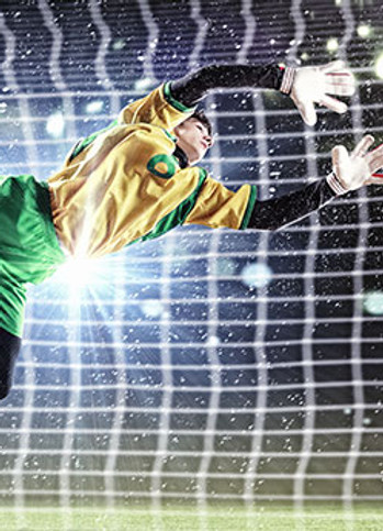 The Goalkeeper