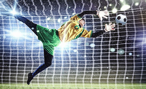 The Goalkeeper