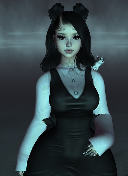 im2.png