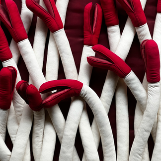 Anne Faye Crockett's Soft Sculpture Nudibranches