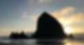 59EBBF4F-8DEC-4657-BBF2-0D52D374CBA8_1_105_c_edited_edited.png