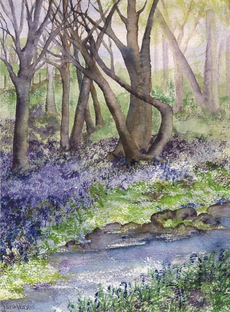 Card Bluebell Wood JH005-1.jpg