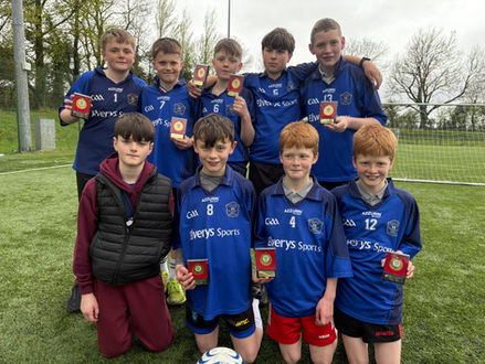 FAI Primary Schools Soccer 2026