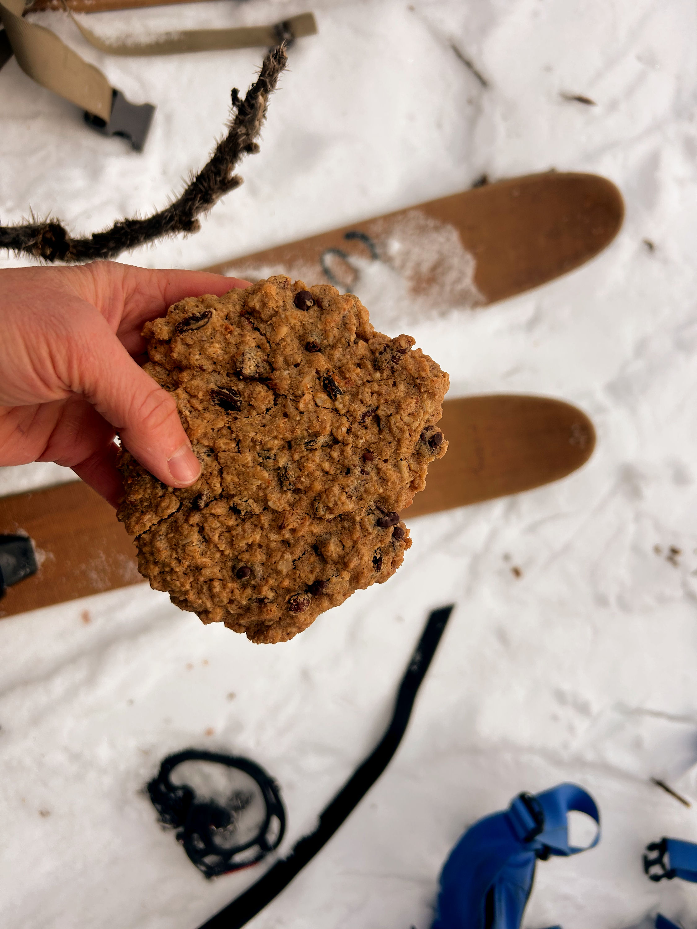 Mannix Monster cookies - GF