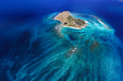 DJI_20250323151410_0021_D