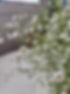 20250306_135746.jpg