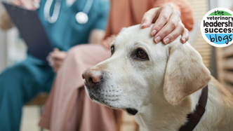 The 9 Most Common Vet Practice Management Problems & How To Fix Them