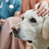 The 9 Most Common Vet Practice Management Problems & How To Fix Them