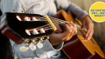 Zen and the Art of Veterinary Mental Health Maintenance