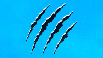 Cat scratches on a blue backgorund