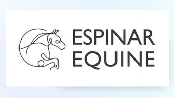 The Role of Brand & Visual Identity in Veterinary Practice Success