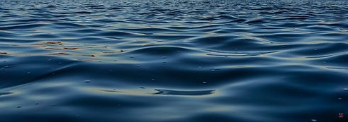 DSC03186 lightroom_.jpg