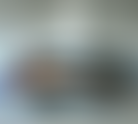 What I Learned Appraising a Stunt Plane