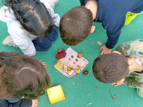 Chi ha rubato le mie foglie??