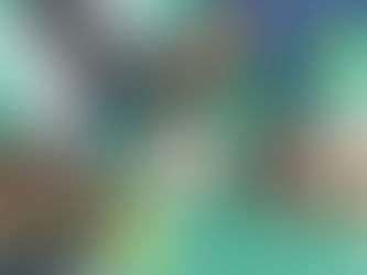 Chi ha rubato le mie foglie??