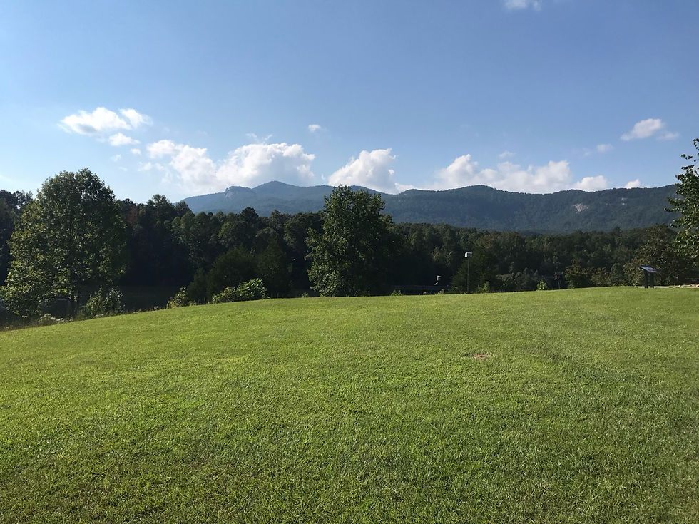 02_12_2025, 11_28_32 AM.jpg