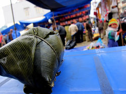 BAC HA
