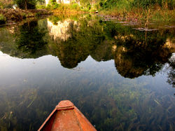 TAM COC