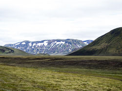 LANDMANNAUGAR