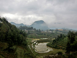 SAPA