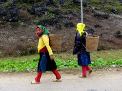 HA GIANG