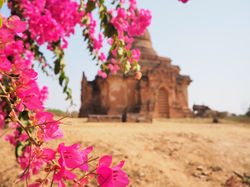 BAGAN