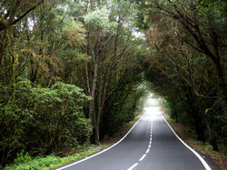 GOMERA