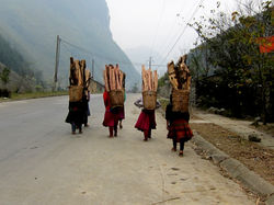 HA GIANG
