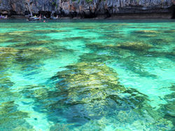 KO PHI PHI