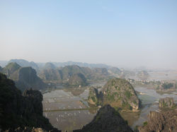 TAM COC