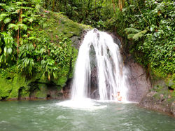 BASSE TERRE