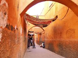 MAROC