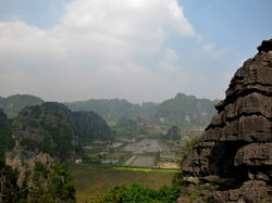 TAM COC