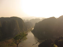TAM COC