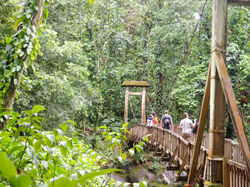BASSE TERRE