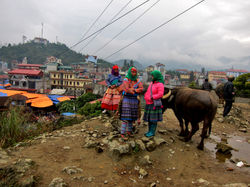 BAC HA