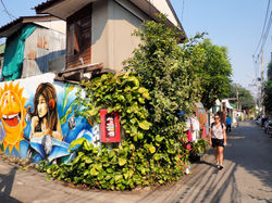 CHIANG MAI