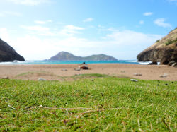 LES SAINTES