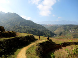 SAPA
