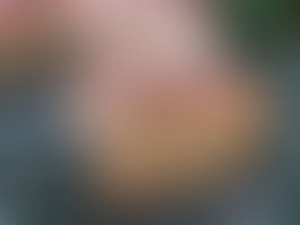 RAW CHOCOLATE MOUSSE CAKE - Sip & Snack Saturday