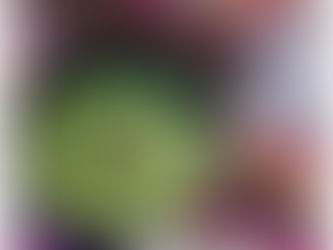 LEAN-her, GREEN-her Soup - SLIMher Approved