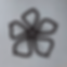 Tableau Fleur Plumeria Stylisée
