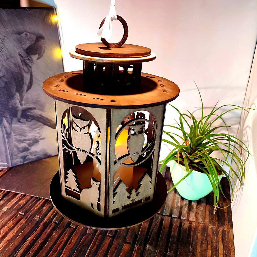 Miniature : Lanterne Hibou Nocturne en Bois