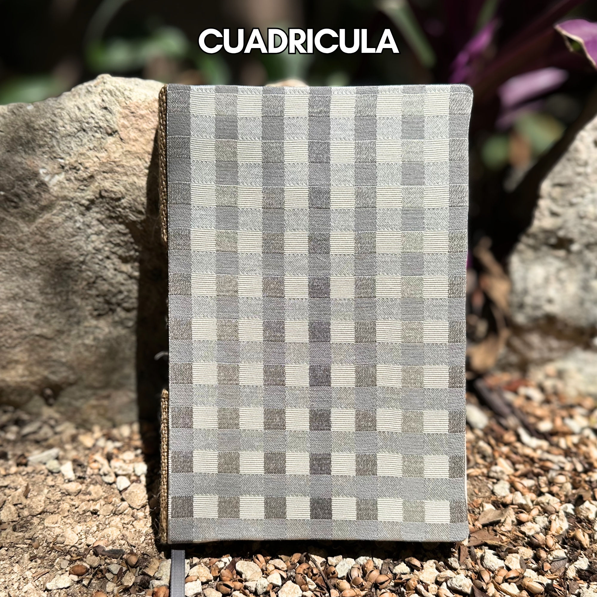 Cuadrícula
