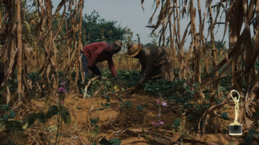 Promotional video for improving topsoil from the University of Guelph