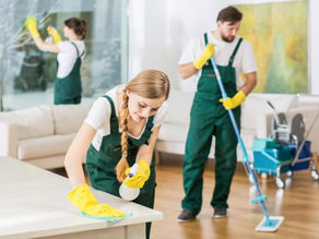Important Facts About House Cleaning App Like Uber