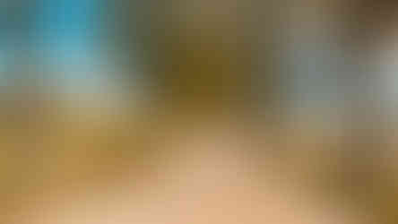 View of Latvian country side