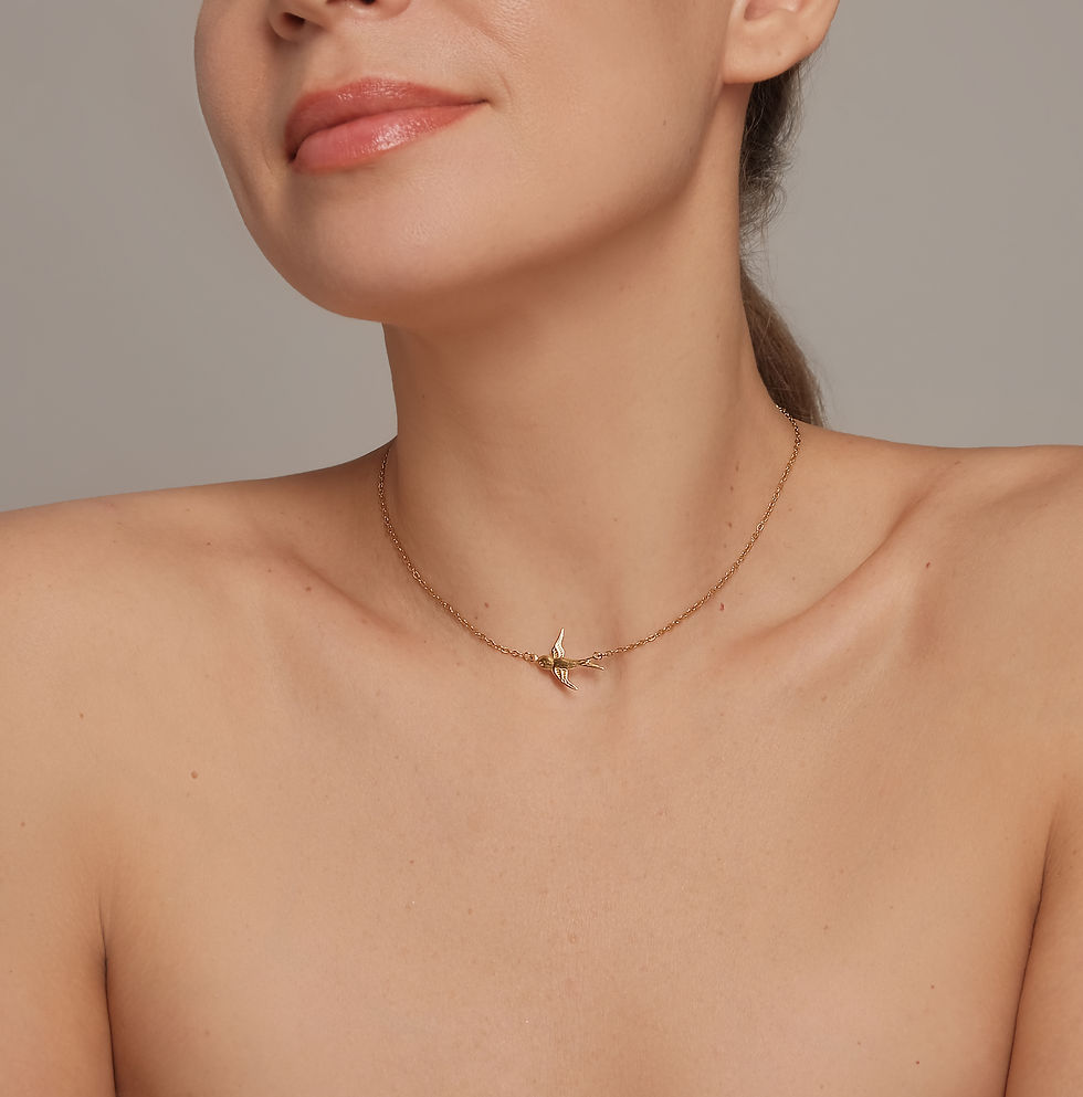 Красивий ланцюжок ластівка