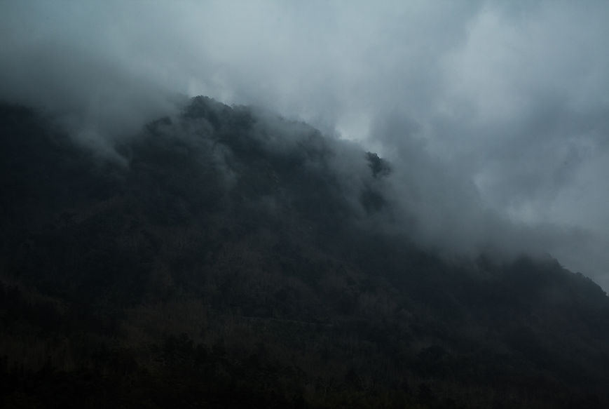 Alishan 1-8485.JPG