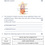 Thumbnail: FREE Digestion and Enzymes Homework & Mark Scheme